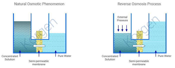 Osmotic Process and Reverse Osmosis Process for water